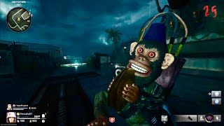 Call of Duty Black Ops 6 Zombies  NEW Monkey Bomb Voice and Showcase [upl. by Ellehcil866]