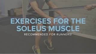 Exercises for the Soleus Muscle Recommended for Runners [upl. by Ahsemot106]