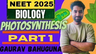 Photosynthesis in higher plants  Part 1  NCERT class 11th Biology [upl. by Urbani448]