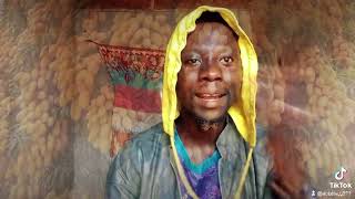 Auta mg boy ftkawudan sarki lates lyrics video DOBBLE jj burji Tv [upl. by Esyle]