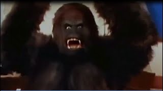 Kentucky Fried Movie 1977  Disrespected Gorilla Goes Ape After Being Called Impotent [upl. by Manville]