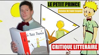 Le Petit Prince  Antoine de SaintExupéry Critique littéraire [upl. by Nohtanhoj263]