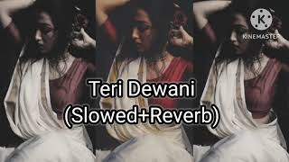 teri diwani song slowedreverbplease one like and subscribe [upl. by Krahmer]