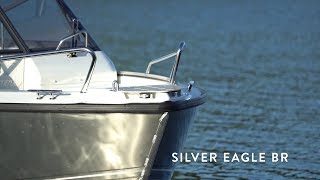 Silver Eagle BR 2018  SE [upl. by Ewall]