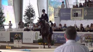 HorseJunkiesUnitedcom  Heather Blitz and Paragon GP Special World Dressage Masters [upl. by Akcirehs]