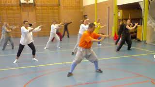 Workshop Chen Stijl Tai Chi door Shi Heng Yi bij Tai Chi School Zuanshi Groningen [upl. by Novit]