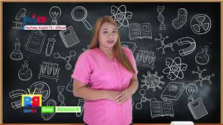 Grade 6 Sicence Q1 Ep 12 Benefits of Separating Mixtures [upl. by Anyalram]