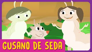 GUSANO DE SEDA  Episodio Completo l El Mundo de Luna [upl. by Latoya]