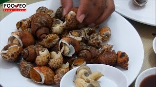 HD Eat Delicious Orange Spot Snail Sea Snail [upl. by Ileek]