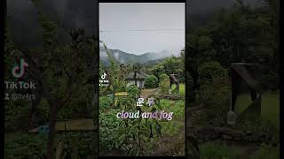 운무 cloud and fog 금성산 숲길 비오는날 [upl. by Tristram]