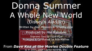 Donna Summer  A Whole New World Aladdin LYRICS  HQ 2007 [upl. by Kissie]