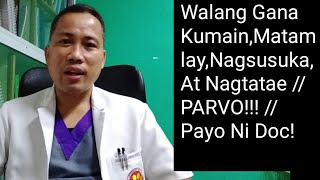 SIMTOMAS NG PARVOMga Dapat Malaman Sa Sakit Na Parvoviral Enteritis [upl. by Nilhsa]