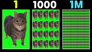 Cat Spinning Meme Over One Million Times [upl. by Modestia941]