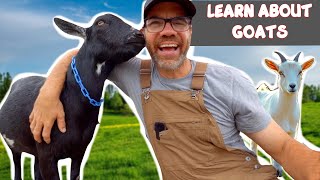 Learn About Goats with Farmer Jason Fun Educational Video For Kids [upl. by Eiralav]