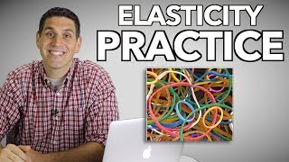 Elasticity Practice Supply and Demand [upl. by Adoc455]