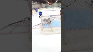 Full Dominik Hasek Hockey IceHockey Goalie save ￼ [upl. by Bolger96]