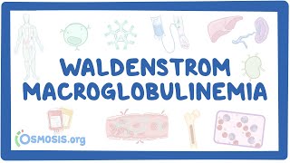 NORD  Waldenstrom Macroglobulinemia [upl. by Paley263]