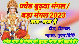 बुढ़वा मंगल 2023l budhwa mangal kab hai 2023 budhwa mangal 2023 date l bada mangal kab hai 2023 [upl. by Hyman230]