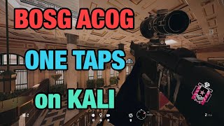 BOSG ACOG ONE TAPS on KALI NEW  Rainbow Six Siege [upl. by Vaughan260]