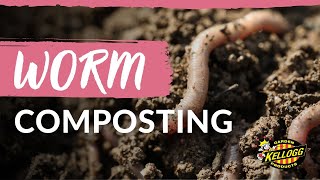 Worm Composting In Raised Beds [upl. by Stryker202]