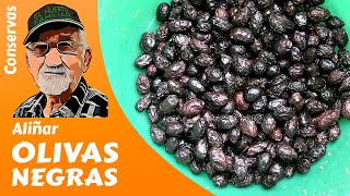 ACEITUNAS 𝗡𝗘𝗚𝗥𝗔𝗦 CÓMO ALIÑAR OLIVAS NEGRAS [upl. by Anemij]