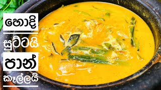 පාන් මරන් කාලා තියෙනවද 😍 curry recipes sinhala [upl. by Hanyaz]