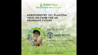 19 Agroforestry 101 Planting Trees on Farm for an Abundant Future with Katie Adams Savanna Inst [upl. by Gabriel]