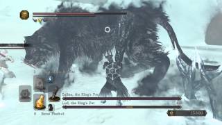 Dark Souls 2 Frigid Outskirt path and boss battle [upl. by Iadahs]