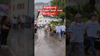 Switzerland Cow festival Alpabzug Desalpe Decorated cows descending from Alps Cow parade swiss [upl. by Yeleek]