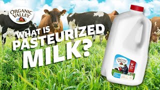 What is Pasteurized milk  Ask Organic Valley [upl. by Assenev]