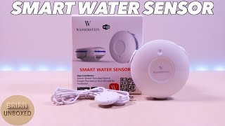 Wasserstein Wifi Smart Water Sensor  Full Review amp Demo [upl. by Moriyama71]