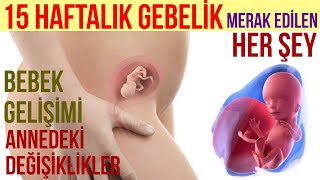 15 Haftalık Gebelik 2023 [upl. by Aihsyla]