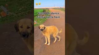 Kutta bhi dance follow karta hain ytshort trending comedy viralytvideo viralshort [upl. by Creighton228]