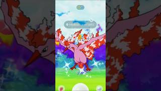 Can We Get A✨SHINY MOLTRES Todayin pokemongo shiny shorts [upl. by Trebled]