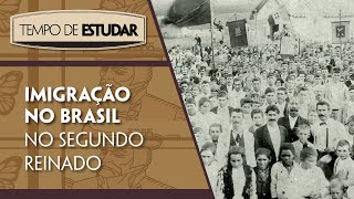 Imigração no Brasil no Segundo Reinado l Tempo de Estudar  História  8º ano [upl. by Aissatan]