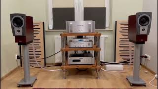 Audio Research CD6 Plinius SA 103 Dynaudio C1 Nordost Frey [upl. by Angelica]