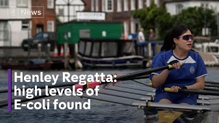 EColi levels found to be 27 times higher than acceptable in Thames ahead of Henley regatta [upl. by Wemolohtrab]