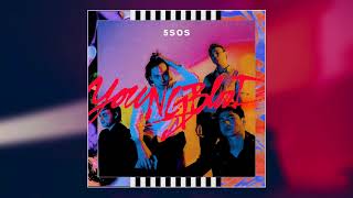 5 Seconds Of Summer  Babylon Official Audio [upl. by Barolet482]