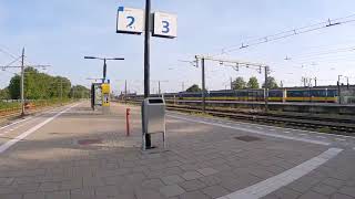 Flaske langt 9012992 [upl. by Ynwat]