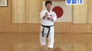 JKA KATA HQ new Bassai Dai [upl. by Scriven]