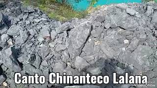 versión chinanteca lalana [upl. by Odnalref807]