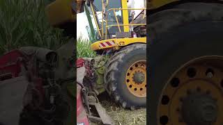 Silage machine improved by leading experts reaper modern agriculture cornsilage shorts [upl. by Trik10]