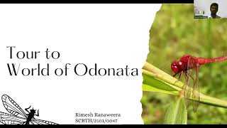 Tour to World of Odonata [upl. by Symon]