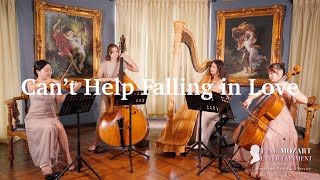 Cant Help Falling in Love PinkMozart Harp Quartet Cover  Best Wedding Processional Song [upl. by Eldridge]