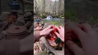 Camping food cooking camping ASVlogsHR02 nature meatlovers asvlogshr02 bushcraftfamily [upl. by Saihttam]