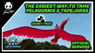 The EASIEST Way To Tame Pelagornis amp Tapejaras  Secret Trick  ARK Survival Ascended [upl. by Riocard]