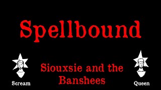 Siouxsie And The Banshees  Spellbound  Karaoke [upl. by Kal]