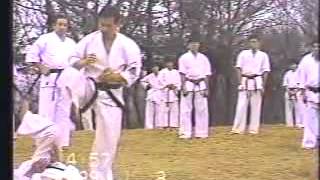 Okinawa Shorin ryu Karate [upl. by Cariotta]