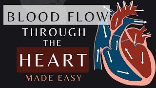 Blood Flow Through the Heart in 1 Minute Animation  Cardiac Physiology bloodflow shorts [upl. by Myers]