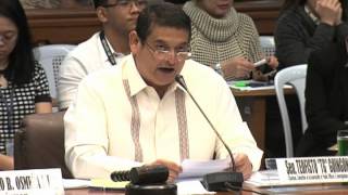 Guingona warns money laundering scam could lead to blacklist [upl. by Ahsiekim830]